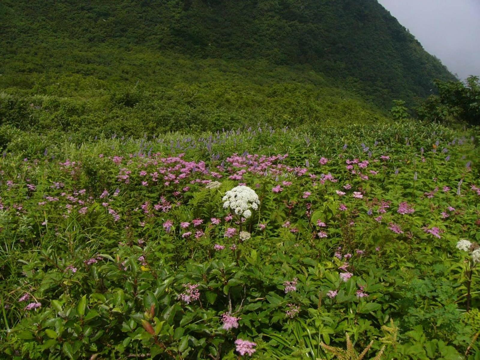 Shukubo Kansho-In Temple Sanrakuso Daisen  Exterior foto